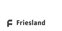 Friesland N.V. - Finance & Asset Management